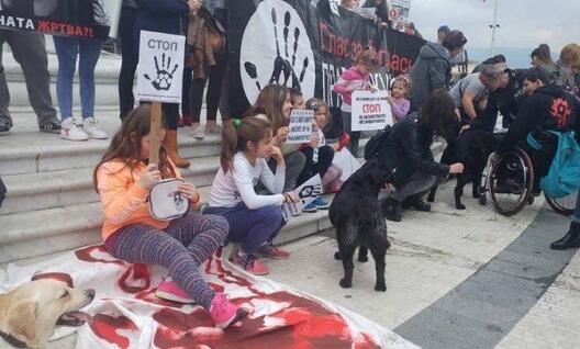 Активисти бараат казни за оние кои малтретираат и трујат животни
